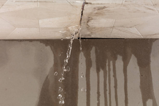 Professional Structural Drying technician working in Rogers, TX